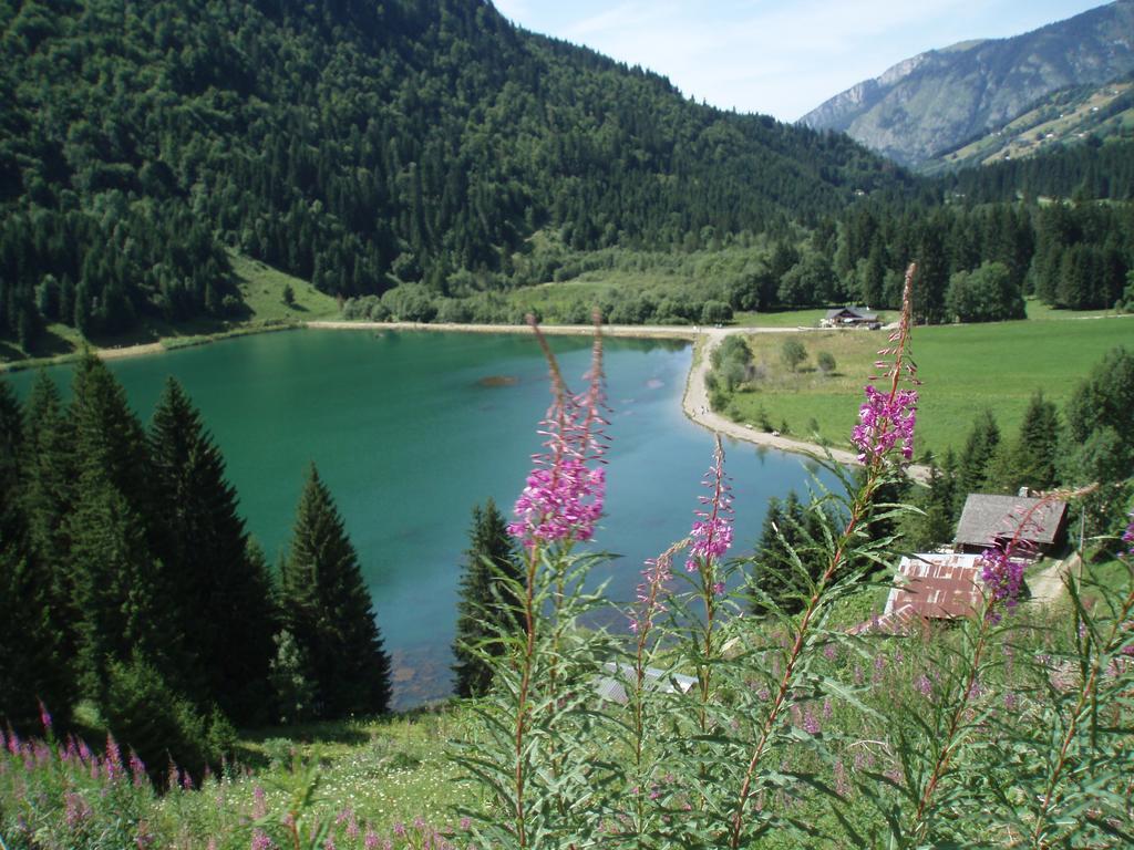 Le Clos Des Fontaines, A 5 Mn Du Lac Thonon-les-Bains Exteriér fotografie