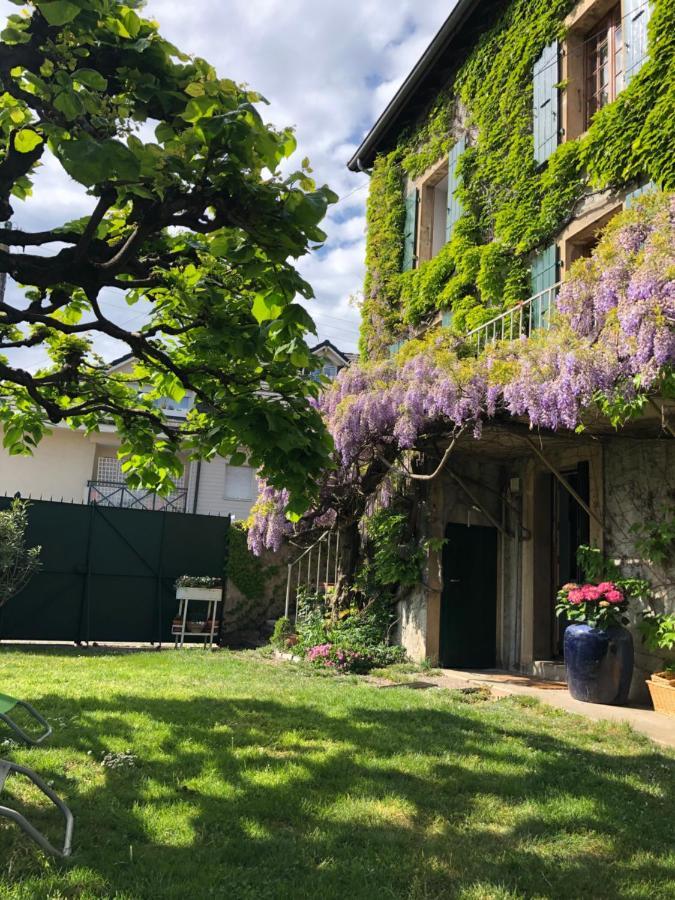 Le Clos Des Fontaines, A 5 Mn Du Lac Thonon-les-Bains Exteriér fotografie